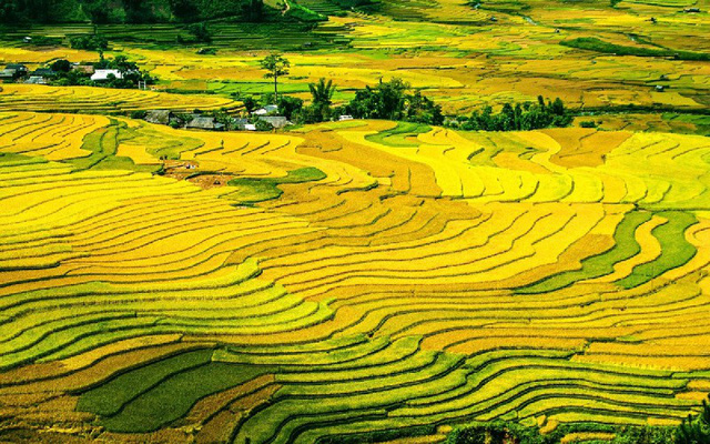 CN Traveler bình chọn Mù Cang Chải vào top “Những địa điểm sắc màu nhất trên thế giới”